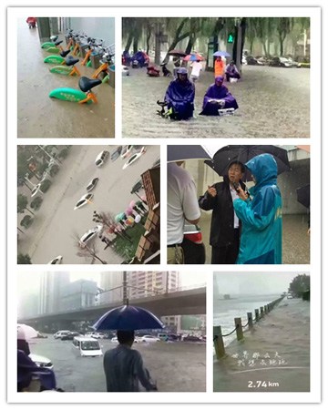 ee5d6d31ac9248da92d0ef80cc6c1a5f