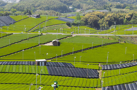 配、农网解决规划