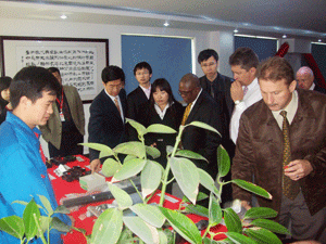 MYBALL·迈博(中国区)有限公司官网